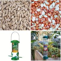 free feeders with sunflower hearts and peanuts